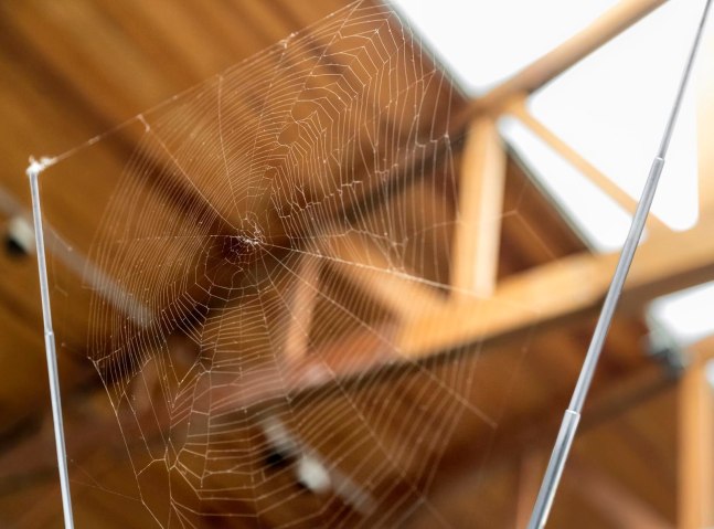 	fernando ortega, kurimanzutto, ciudad de m&amp;eacute;xico, 2013