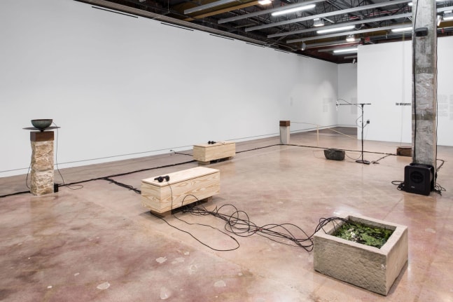 the whisperers, 2021-2022

installation view, austin contemporary, austin, texas, 2022