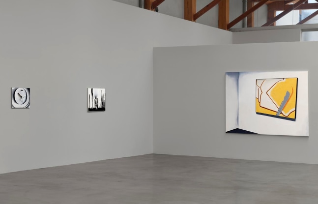 	wilhelm sasnal, installation view, 2011