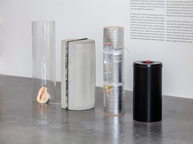 	gabriel kuri	bilateral growth, 2013	installation view of xyla&amp;ntilde;ynu. taller de los viernes, kurimanzutto, mexico city, 2016