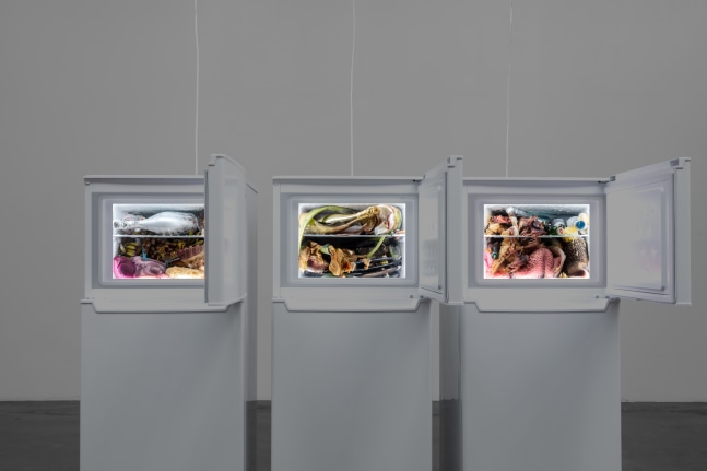 adrian villar rojas, untitled vi, vii, viii (from the series rinascimento), kurimanzutto, 2021