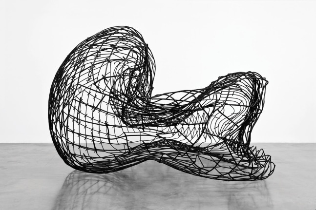 the fence 1, 2011

painted rebar

66.14 x 164.96 x 102.36 in.

&amp;nbsp;

&amp;nbsp;