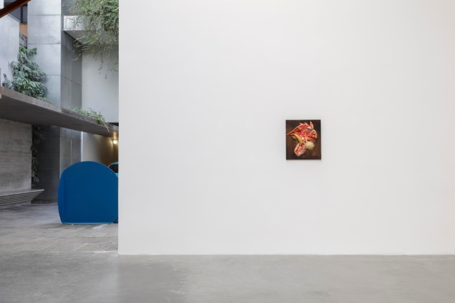 	installation view of xyla&amp;ntilde;ynu. taller de los viernes, kurimanzutto, mexico city, 2016