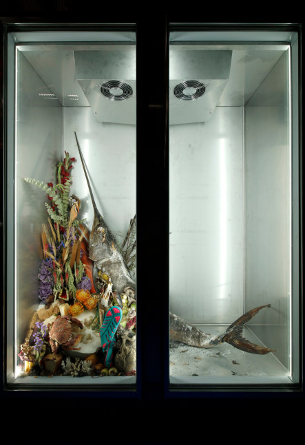from the series the theater of disappearance (xiii), 2017

freezer, organic and inorganic materials

80.71 x 55.12 x 35.04 in.

installation view at the geffen contemporary at moca, los angeles, 2017