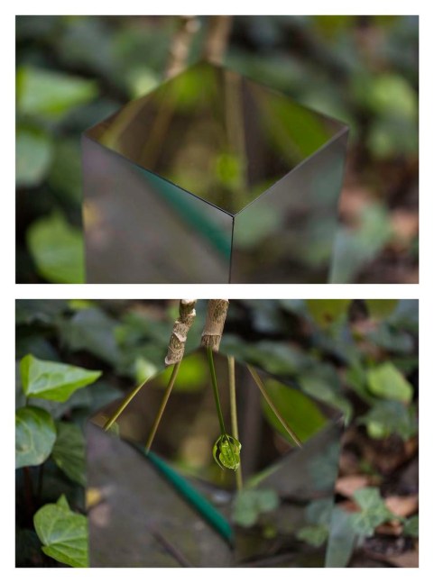 secretos: jard&amp;iacute;n 1, 2016

set of 4 ink-jet prints on cotton paper

11.8 x 17.7 in.&amp;nbsp;each