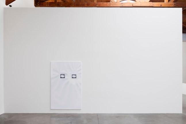 pale fire, kurimanzutto, mexico city, 2016