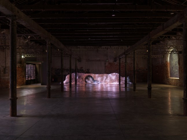 vista de instalaci&amp;oacute;n de&amp;nbsp;lipid muse&amp;nbsp;(2024) en&amp;nbsp;stranieri ovunque &amp;ndash; foreigners everywhere, 60va exposici&amp;oacute;n internacional de arte de la biennale di venezia, giardini and arsenale 2024. foto: nick ash