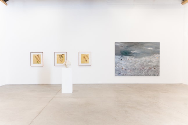 installation view of comporta, fortes d&amp;rsquo;dloia &amp;amp; gabriel + kurimanzutto, casa da cultura da comporta, potugal, 2023