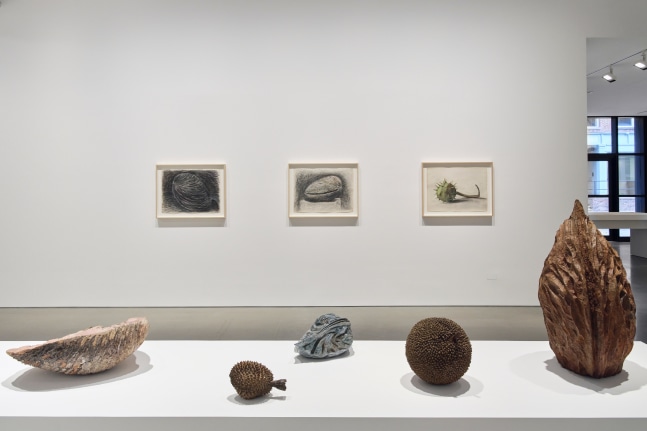 vista de instalaci&amp;oacute;n&amp;nbsp;ming fay: midnite porridge, kurimanzutto nueva york, 2025. foto: zach hyman