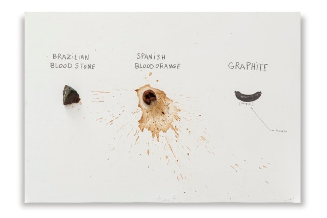 brazilian bloodstone, 1997

piedra, naranja, grafito sobre madera

83 x 120 x 8 cm

&amp;nbsp;