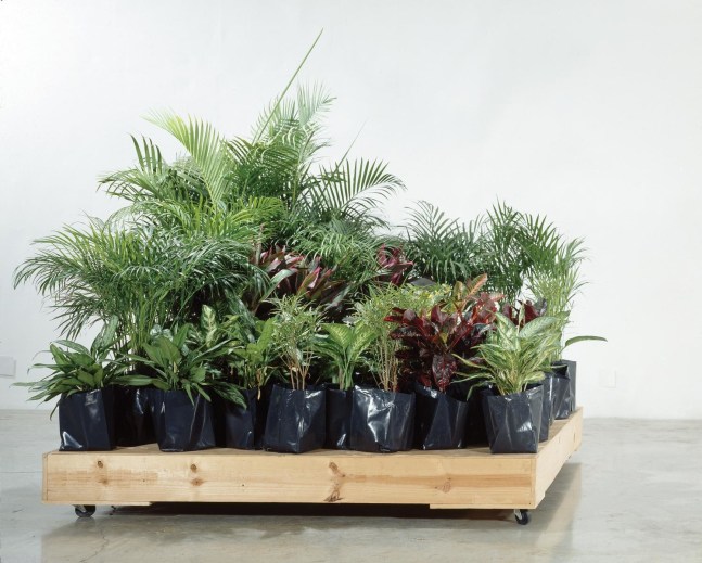 jard&amp;iacute;n port&amp;aacute;til, 2001

plants, wooden movable platform

78.74 x 78.74 in.

&amp;nbsp;