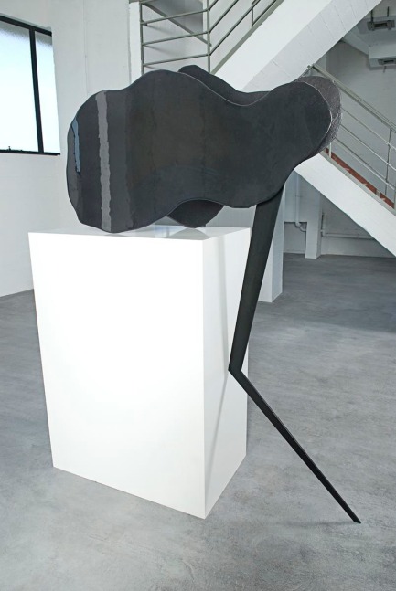 migraine, 2007

colored glass, painted metal and wood

68.9 x 90.55 x 35.43 in.

&amp;nbsp;