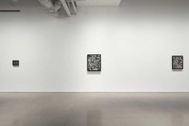 vista de instalaci&amp;oacute;n &amp;iquest;por qu&amp;eacute; el socialismo? por albert einstein, curadur&amp;iacute;a de gabriel orozco, kurimanzutto nueva york, 2025. foto: zach hyman