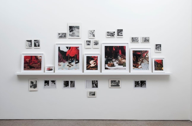 (d&amp;eacute;tail): red, 2013

digital prints, book pages, wooden shelf

59 x 131.1 in.

&amp;nbsp;