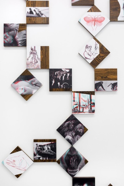 the encyclopedia of the dead: darwin, 2012

set of 71 laminated ink-jet prints mounted on wood

5.9 x 5.9 x .8 in.&amp;nbsp;each

&amp;nbsp;