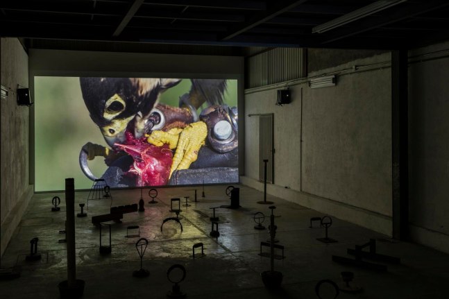 	ca&amp;iacute;da libre, mexico city, 2017