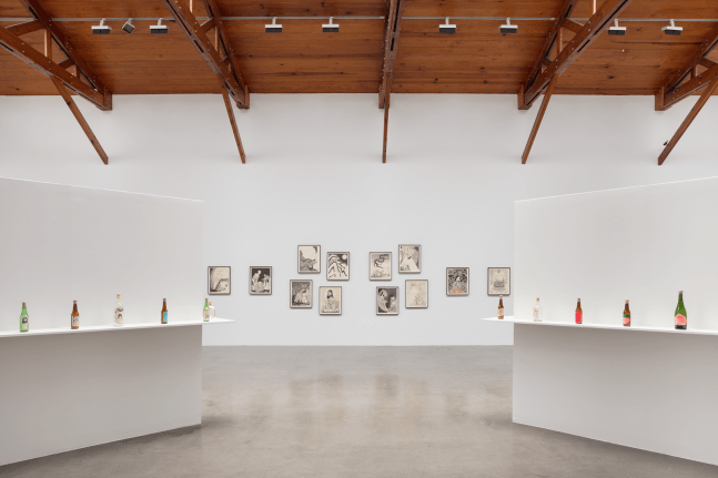 dr. lakra, kurimanzutto, ciudad de m&amp;eacute;xico, 2018