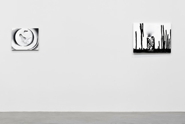 	wilhelm sasnal,&amp;nbsp;kurimanzutto, mexico city, mexico, 2011