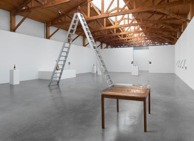	fernando ortega, installation view, 2013
