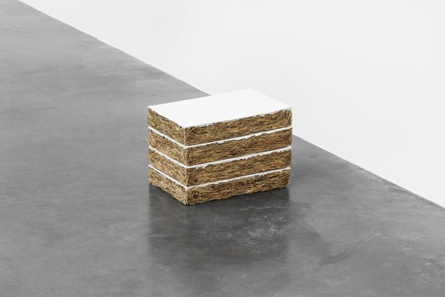 untitled (4 espantap&amp;aacute;jaros), 2, 2013

set of 4, glued hay, painted gesso

16.02 x 11.02 x 2.76 in.&amp;nbsp;each

&amp;nbsp;

&amp;nbsp;