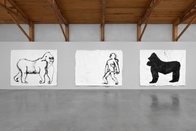 	nuestra imagen actual, kurimanzutto, mexico city, 2012