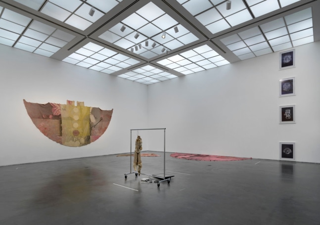 installation view duane linklater: mymothersside, mca chicago, 2023. photo: tom van eynde.


&amp;nbsp;
