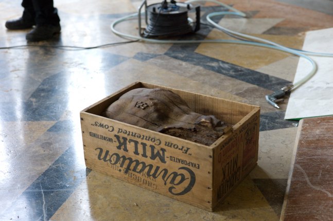 	beauty queen (en proceso), 2013	&amp;nbsp;