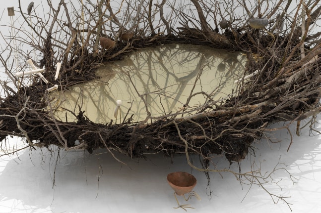 ru_cuculus canorum, limosa limosa, nyctanassa violacea, riparia riparia, scolopax mira, 2017

madera, tierra, pegamento, lat&amp;oacute;n, resina