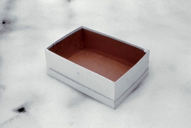 	caja de zapatos vac&amp;iacute;a, 1993	impresi&amp;oacute;n sobre gelatina de plata	40.6 x 50.8 cent&amp;iacute;metros	parte de nuevas fotograf&amp;iacute;as, kurimanzutto, ciudad de m&amp;eacute;xico, 2002