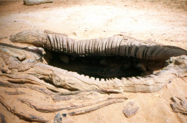 	pozo, 2002	impresi&amp;oacute;n en papel fuji crystal	85.73 x 118.75 cm	parte de nuevas fotograf&amp;iacute;as, kurimanzutto, ciudad de m&amp;eacute;xico, 2002	&amp;nbsp;