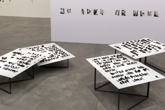 life in the folds, 2017

alphabet of ocarinas placed over tables, forming a poem. high temperature enamelled ceramic, compressed aluminum sheets prepared with imprint, silkscreen and varnish, fixed on a steel tubular base. film black and white, with sound. set of 100 xerographic prints on paper

45.28 x 472.44 x 303.15 in.&amp;nbsp;approx. installed
