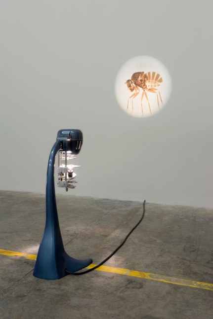 	la venganza del elefante, kurimanzutto, mexico city, 2007