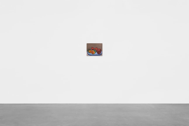 roberto gil de montes, pitayas, 2022