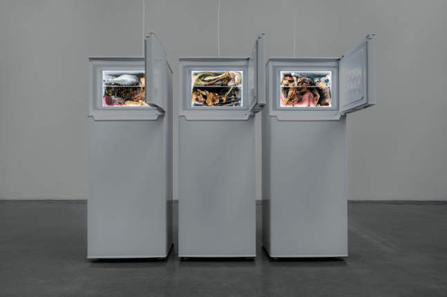 adrian villar rojas, untitled vi, vii, viii (from the series rinascimento), kurimanzutto, 2021