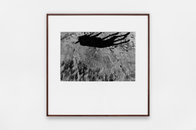 miguel calder&amp;oacute;n, buenavista, guerrero, abril 2020 en siembra, kurimanzutto, ciudad de m&amp;eacute;xico, 2020