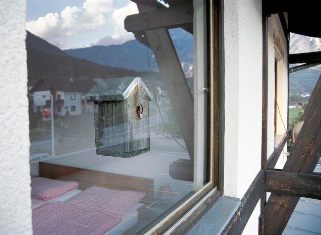 sharing the room, 1998
installation view hotel unterbergnerhof, austrian alps

&amp;nbsp;

&amp;nbsp;