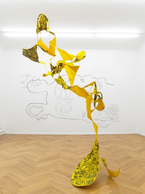 llke a hundred mirrors, i reflect your body, 2011
papier m&amp;acirc;ch&amp;eacute;, aluminium wire, laser prints, various sizes
118.1 x 112.2 x 51.2 in

&amp;nbsp;

&amp;nbsp;