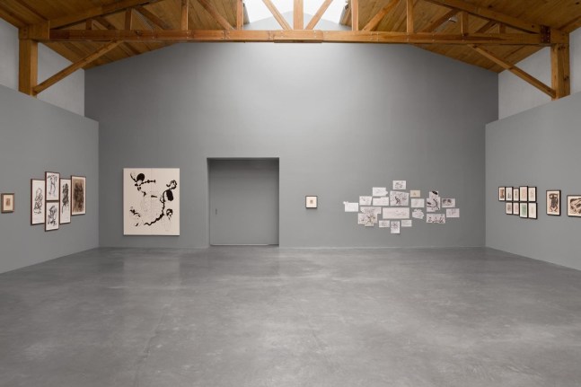 	my generation, kurimanzutto, ciudad de m&amp;eacute;xico, 2009.