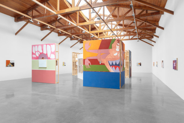 daniel guzm&amp;aacute;n, el hombre que deber&amp;iacute;a estar muerto, kurimanzutto, ciudad de m&amp;eacute;xico, 2023