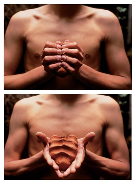 
mis manos son mi coraz&amp;oacute;n, 1991

dos impresiones&amp;nbsp;de gelatina de plata&amp;nbsp;

10 x 11 x 9.5 cm cada una

&amp;nbsp;