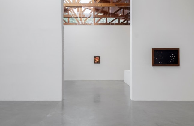 	installation view of xyla&amp;ntilde;ynu. taller de los viernes, kurimanzutto, mexico city, 2016