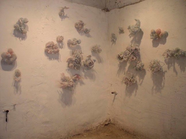 	la cuesta de enero y otros procesos protoecon&amp;oacute;micos, 5 de mayo 18, ciudad de m&amp;eacute;xico, 2005