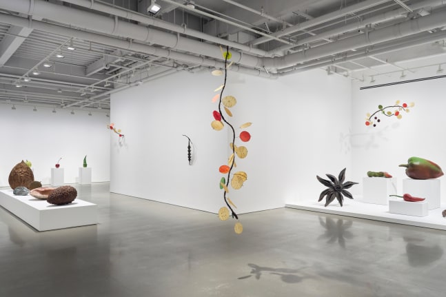 vista de instalaci&amp;oacute;n&amp;nbsp;ming fay: midnite porridge, kurimanzutto nueva york, 2025. foto: zach hyman