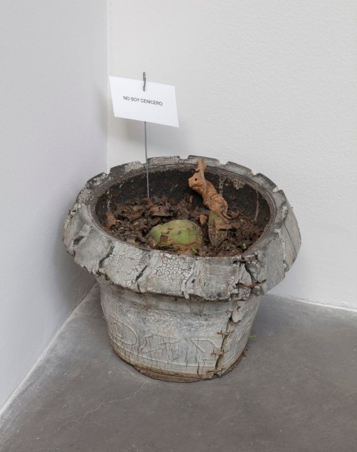 	abraham cruzvillegas	el taller de los viernes, 2016	installation view of&amp;nbsp;xyla&amp;ntilde;ynu. taller de los viernes, kurimanzutto, mexico city, 2016