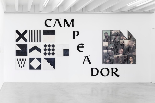 el cid, 2012

set of 10 oil paintings on maple wood, 1 hand-painted text on wall, 15 framed ink-jet prints

67 x 67 x 1.2 in.

&amp;nbsp;