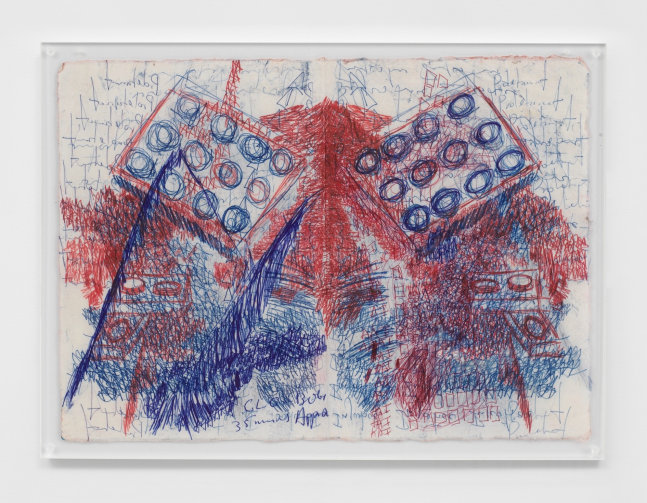 flight #87, 2018

pluma, l&amp;aacute;piz, grafito y carboncillo sobre papel en marco de acr&amp;iacute;lico

30.9 x 41.9 cm.