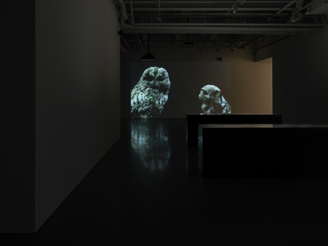 installation view soundwalk collective &amp;amp; patti smith: correspondences, kurimanzutto new york, 2025. photo: zach hyman