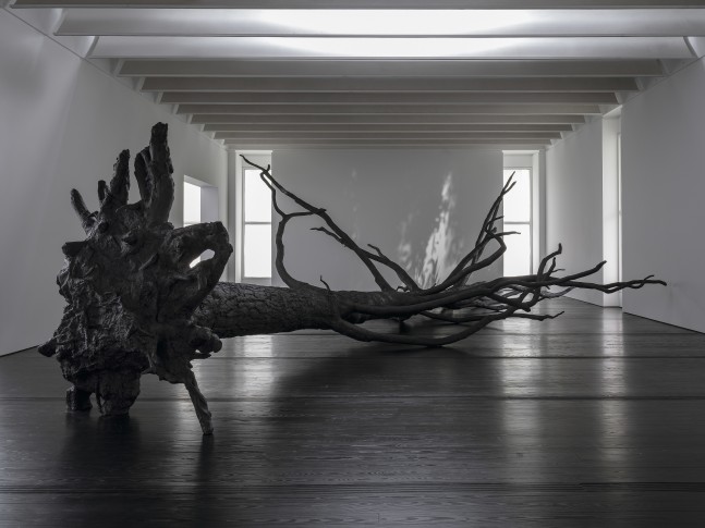 entelechy, 2020. carb&amp;oacute;n, vocalistas. vista de instalaci&amp;oacute;n de specters of noon&amp;nbsp;en menil collection, houston