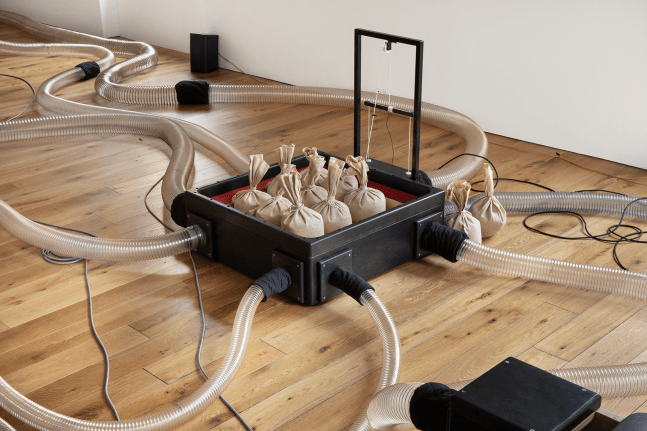 organ within, kurimanzutto, nueva&amp;nbsp;york, 2019