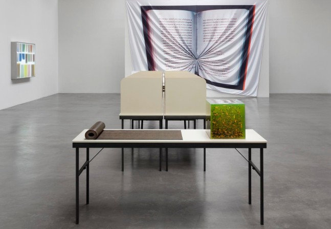 	2012, kurimanzutto, ciudad de m&amp;eacute;xico, 2012